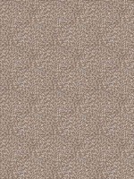 Hedgehog Brown Wallpaper WTG-256584 by Galerie Wallpaper for sale at Wallpapers To Go