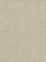 Organic Paperweave Mineral Wallpaper WTG-259107 by Scalamandre Wallpaper for sale at Wallpapers To Go