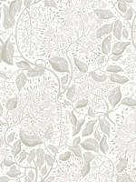 Turi Sage Twining Vines Wallpaper WTG-259161 by A Street Prints Wallpaper for sale at Wallpapers To Go