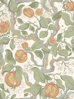 Kort Green Fruit and Floral Wallpaper WTG-259167 by A Street Prints Wallpaper for sale at Wallpapers To Go