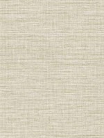 Exhale Light Yellow Texture Wallpaper WTG-259181 by A Street Prints Wallpaper for sale at Wallpapers To Go