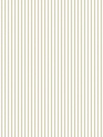 Tailored Stripe Positive Olive Wallpaper WTG-259757 by Patton Norwall Wallpaper for sale at Wallpapers To Go