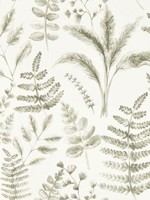 Bracken Natural Wallpaper WTG-260028 by Clarke and Clarke Wallpaper for sale at Wallpapers To Go