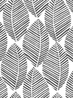 Spot Leaves Charcoal Peel and Stick Wallpaper WTG-260680 by Casa Mia Wallpaper for sale at Wallpapers To Go