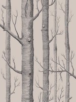 Woods Linen Charcoal Wallpaper WTG-260700 by Cole and Son Wallpaper for sale at Wallpapers To Go