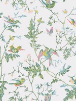Hummingbirds Green Pink Wallpaper WTG-260706 by Cole and Son Wallpaper for sale at Wallpapers To Go