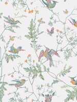 Hummingbirds Pastel Wallpaper WTG-260707 by Cole and Son Wallpaper for sale at Wallpapers To Go