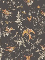 Hummingbirds Charcoal Ginger Wallpaper WTG-260708 by Cole and Son Wallpaper for sale at Wallpapers To Go