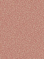 Corallo 06 Red Clay Wallpaper WTG-261234 by Maxwell Wallpaper for sale at Wallpapers To Go