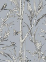 Bambou Toile Sky Blue Wallpaper WTG-261599 by York Wallpaper for sale at Wallpapers To Go