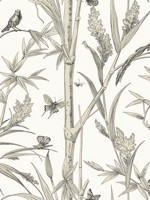 Bambou Toile White Wallpaper WTG-261602 by York Wallpaper for sale at Wallpapers To Go