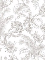 Tropical Sketch Toile Brown Wallpaper WTG-261605 by York Wallpaper for sale at Wallpapers To Go