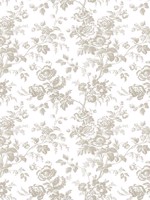 Anemone Toile Taupe Wallpaper WTG-261616 by York Wallpaper for sale at Wallpapers To Go