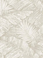 Palm Cove Toile White and Taupe Wallpaper WTG-261640 by York Wallpaper for sale at Wallpapers To Go