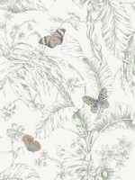 Papillon Blush Wallpaper WTG-261641 by York Wallpaper for sale at Wallpapers To Go