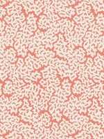 Maldives Coral Wallpaper WTG-263672 by Thibaut Wallpaper for sale at Wallpapers To Go