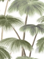 Plein Air Palms Green Wallpaper WTG-264094 by York Designer Series Wallpaper for sale at Wallpapers To Go