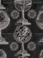 Armillary Anthracite Black and White Grey Wallpaper WTG-264508 by Mind the Gap Wallpaper for sale at Wallpapers To Go