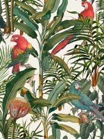 Parrots Of Brasil Green Taupe Red Wallpaper WTG-265074 by Mind the Gap Wallpaper for sale at Wallpapers To Go