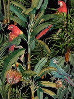 Parrots Of Brasil Anthracite Wallpaper WTG-265075 by Mind the Gap Wallpaper for sale at Wallpapers To Go