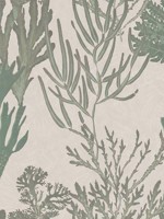 Light Corals Green Taupe Wallpaper WTG-265351 by Mind the Gap Wallpaper for sale at Wallpapers To Go