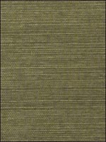 Thibaut Grasscloth Resource Wallpaper T5027 by Thibaut Wallpaper for sale at Wallpapers To Go