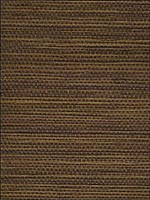 Duo Sisal Wallpaper JL126 by Astek Wallpaper for sale at Wallpapers To Go