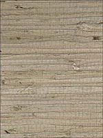 Arrowroot Regular Wallpaper JL175 by Astek Wallpaper for sale at Wallpapers To Go