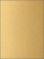 Abacos Ray Metallic Gold Wallpaper T6850 by Thibaut Wallpaper for sale at Wallpapers To Go