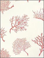 Coral Gables Coral on White Wallpaper T6867 by Thibaut Wallpaper for sale at Wallpapers To Go