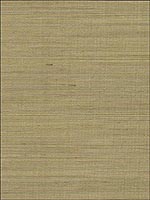 Sisal Wallpaper WND108 by Astek Wallpaper for sale at Wallpapers To Go