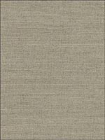 Sisal Wallpaper WND117 by Astek Wallpaper for sale at Wallpapers To Go