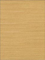 Sisal Wallpaper WND120 by Astek Wallpaper for sale at Wallpapers To Go