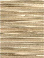 Grasscloth Wallpaper WND160 by Astek Wallpaper for sale at Wallpapers To Go