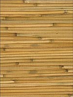 Bamboo Wallpaper WND168 by Astek Wallpaper for sale at Wallpapers To Go