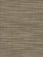 Celebes Sand Sisal Wallpaper 5000730 by Schumacher Wallpaper for sale at Wallpapers To Go