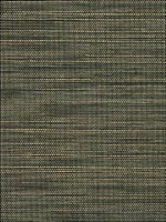 Celebes Lichen Sisal Wallpaper 5000732 by Schumacher Wallpaper for sale at Wallpapers To Go