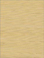 Suwon Gold Sisal Wallpaper 5000762 by Schumacher Wallpaper for sale at Wallpapers To Go