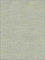 Ayame Aquamarine Sisal Wallpaper 5002900 by Schumacher Wallpaper for sale at Wallpapers To Go