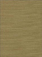 Ayame Sage  Sisal Wallpaper 5002905 by Schumacher Wallpaper for sale at Wallpapers To Go