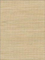 Ayame Natural Sisal Wallpaper 5002907 by Schumacher Wallpaper for sale at Wallpapers To Go