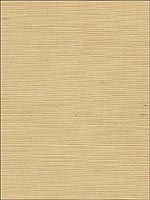 Ningbo Ivory Sisal Wallpaper 524310 by Schumacher Wallpaper for sale at Wallpapers To Go