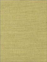 Osan Lime Sisal Wallpaper 529630 by Schumacher Wallpaper for sale at Wallpapers To Go