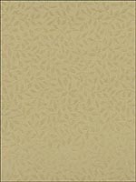 Celano Vine Light Gold Wallpaper 5004444 by Schumacher Wallpaper for sale at Wallpapers To Go