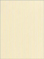 Newport Stripe Maize Wallpaper 203792 by Schumacher Wallpaper for sale at Wallpapers To Go