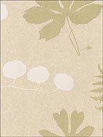 Modern Botanical Parchment Wallpaper 5005010 by Schumacher Wallpaper for sale at Wallpapers To Go