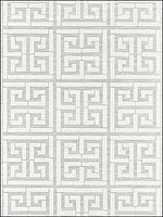 Greek Key Sisal Silver Wallpaper 5005690 by Schumacher Wallpaper for sale at Wallpapers To Go