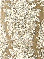 Lace Champagne Wallpaper 5003321 by Schumacher Wallpaper for sale at Wallpapers To Go