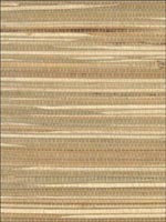 Grasscloth Wallpaper NA030 by Astek Wallpaper for sale at Wallpapers To Go