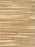 Grasscloth Wallpaper NA032 by Astek Wallpaper for sale at Wallpapers To Go